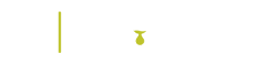 Web Logo